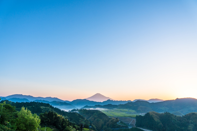 山岸一生新聞2020年5月25日